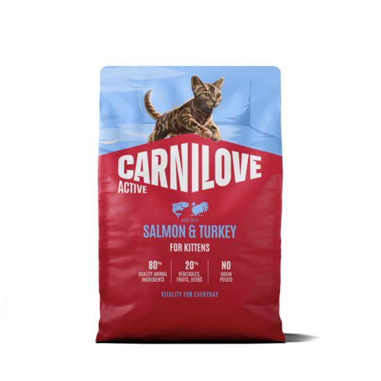 Active Cat Salmon & Turkey for Kittens 2 kg
