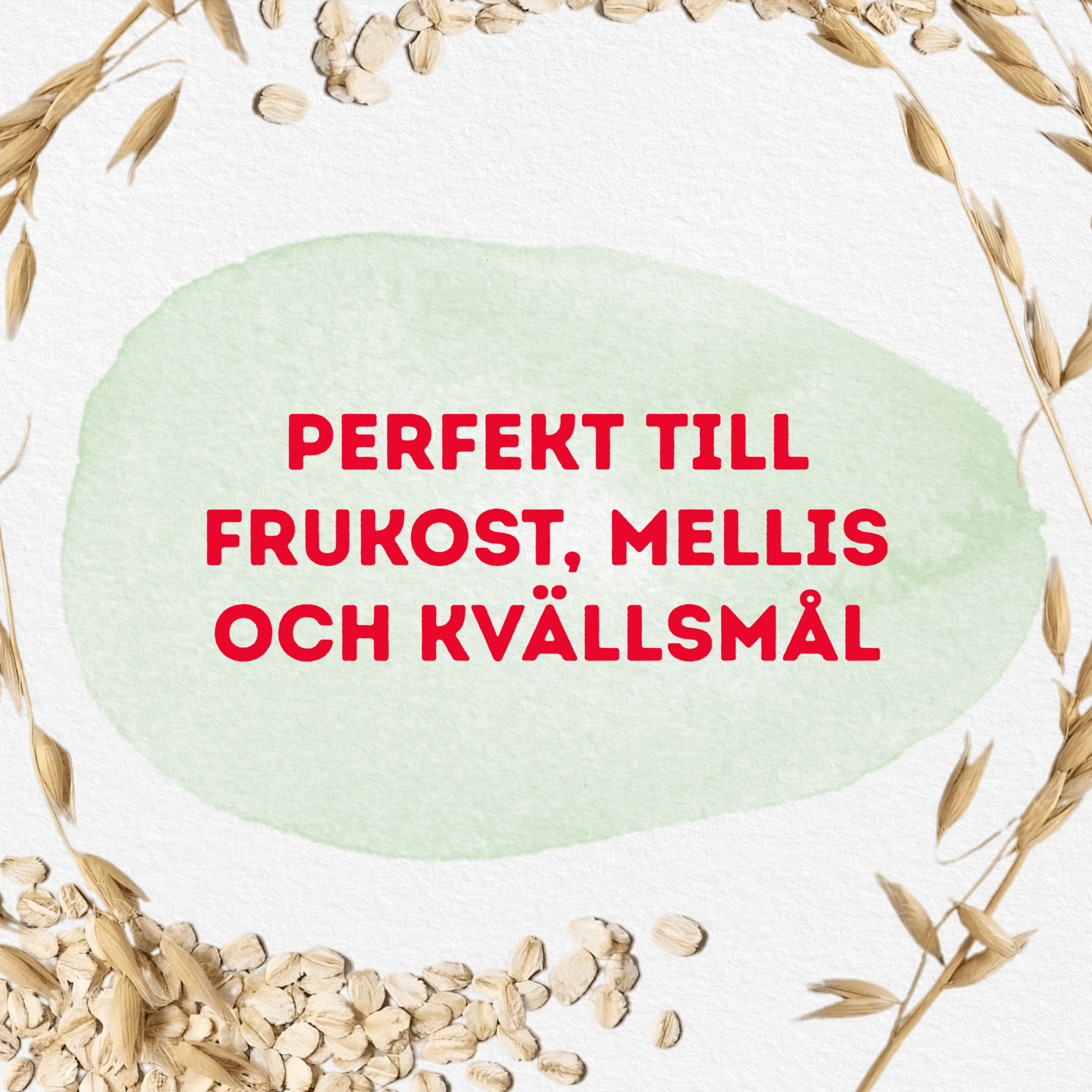 Semper Havregröt Mild & Naturell, 4 mån 480 g