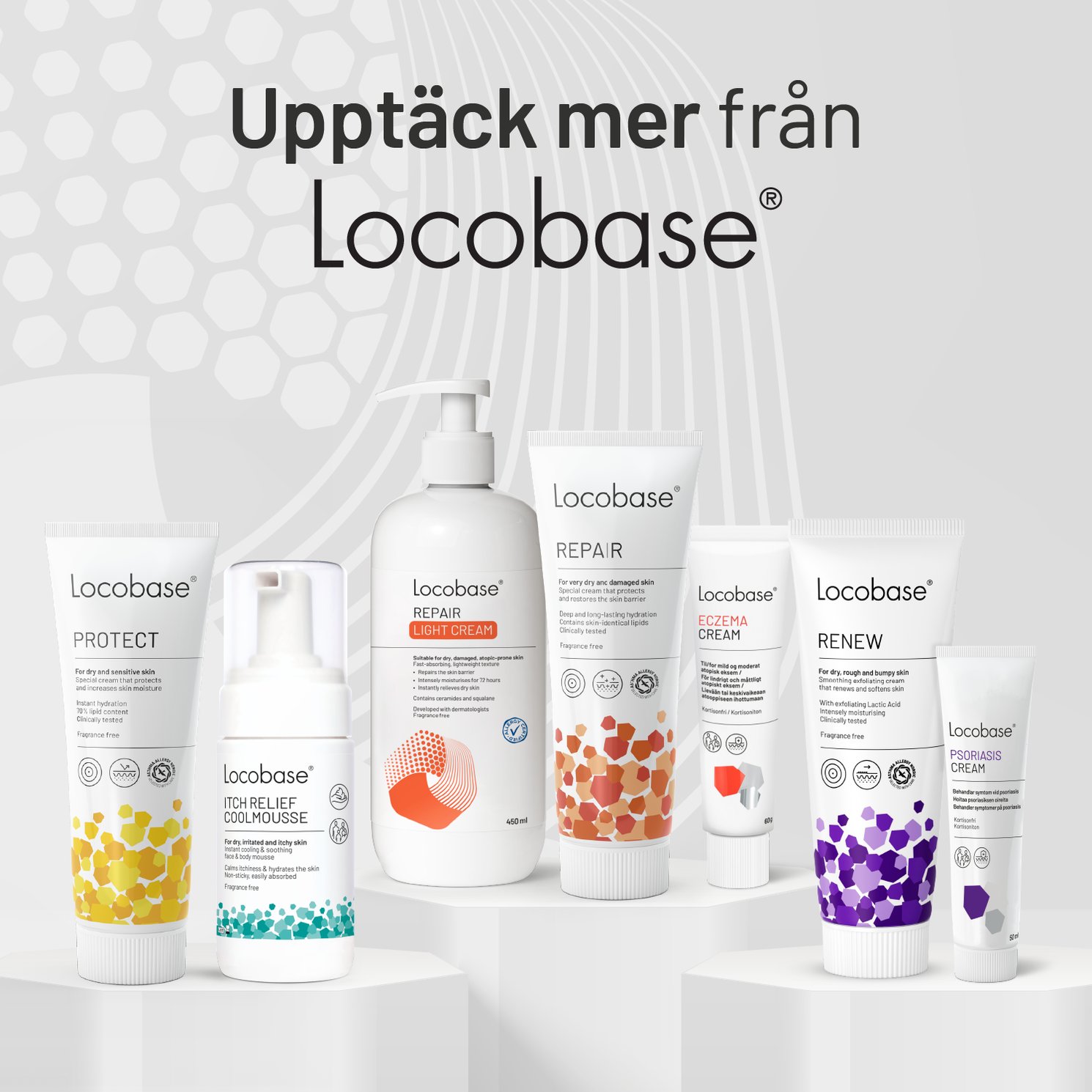 Locobase Repair 100 g