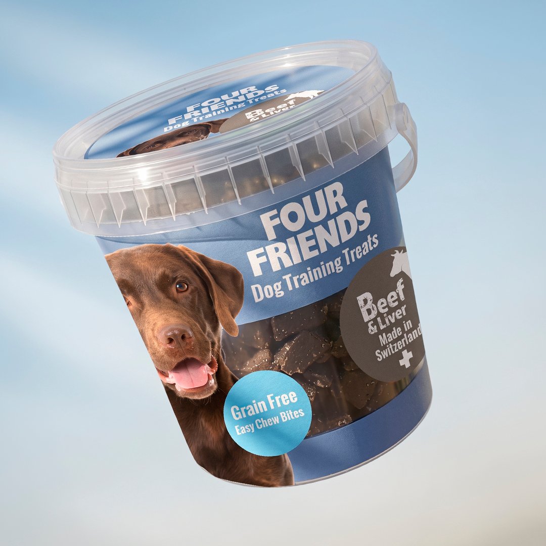 FourFriends