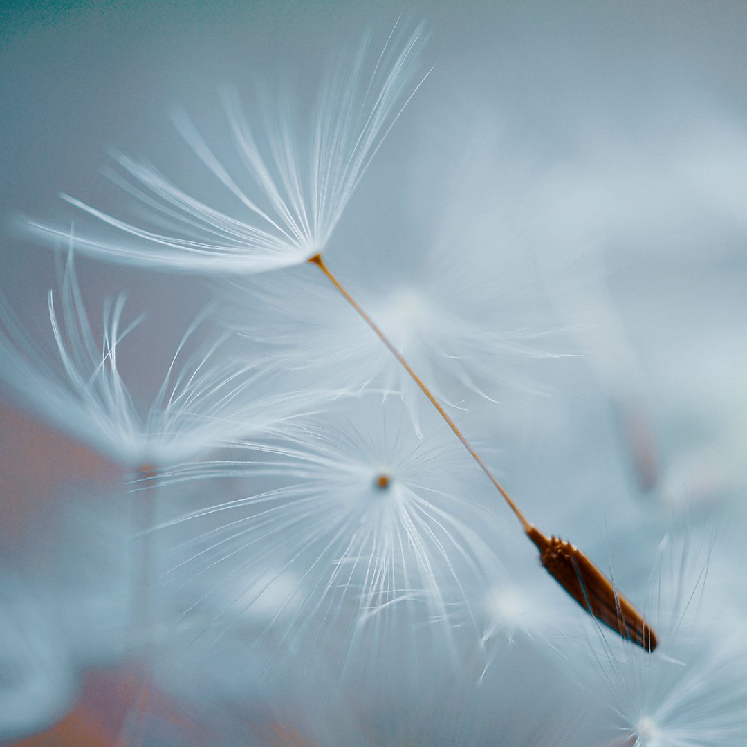 Allergi eller förkylning? Så märker du skillnaden