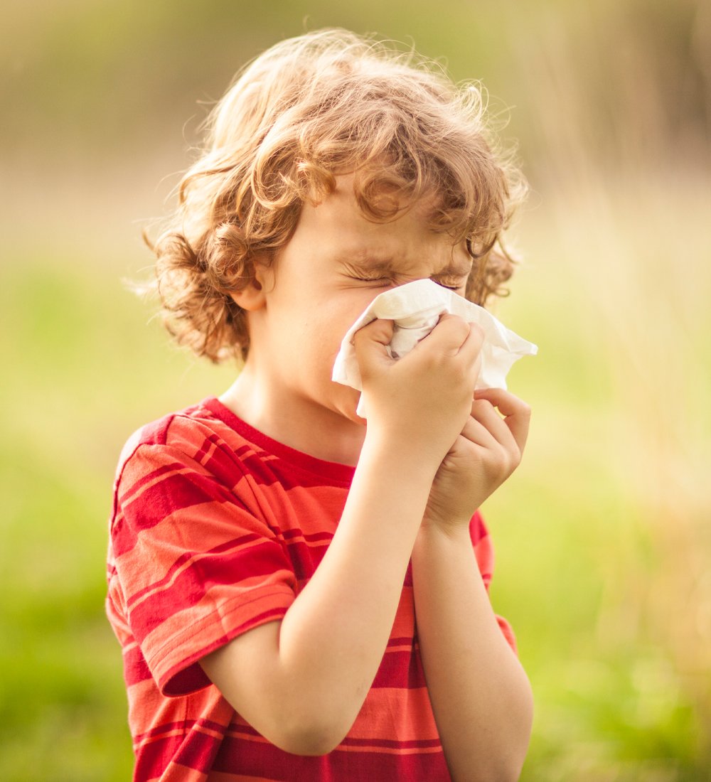 pollenallergi hos barn