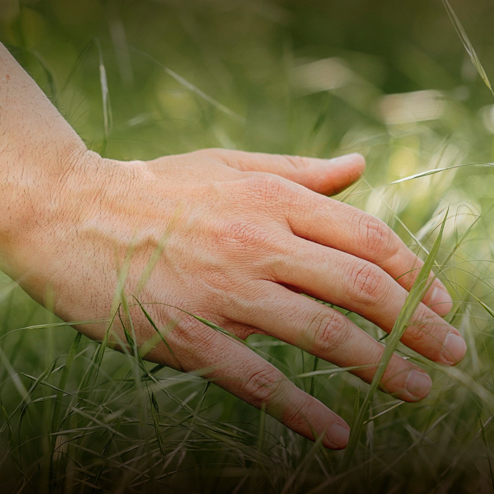 Läsvärda fakta om borrelia – symtom och behandling