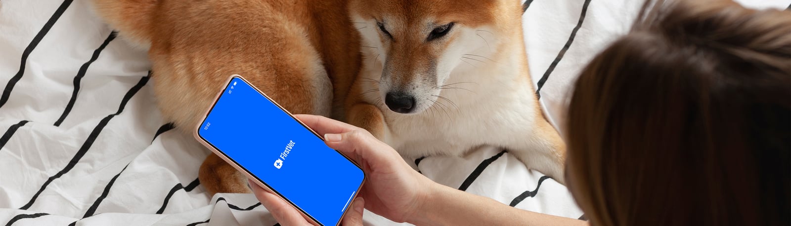 FirstVet