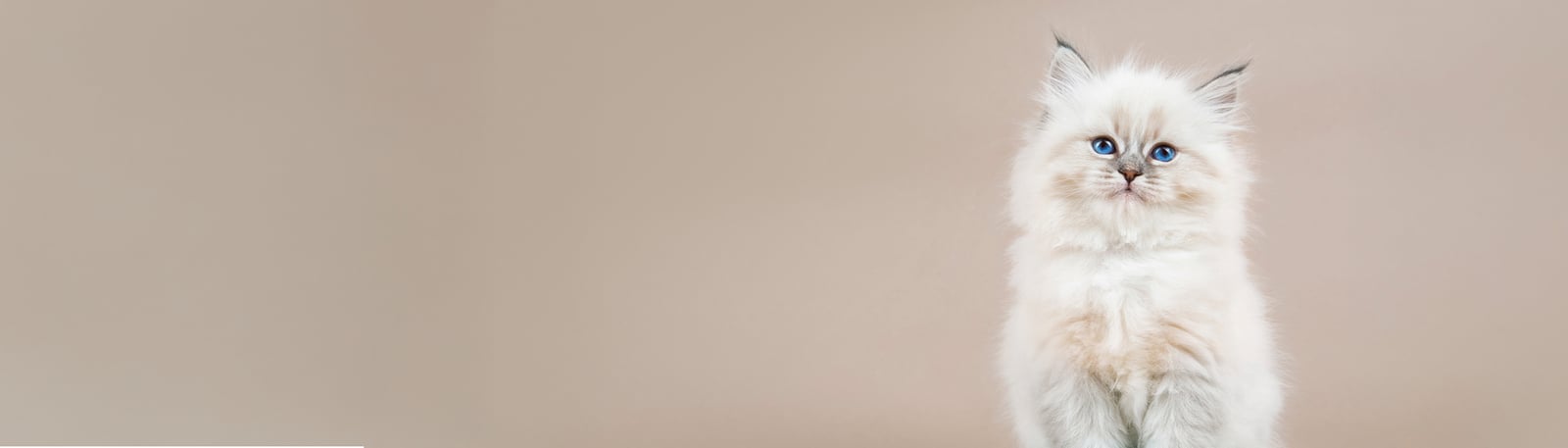 läkemedel djurrecept