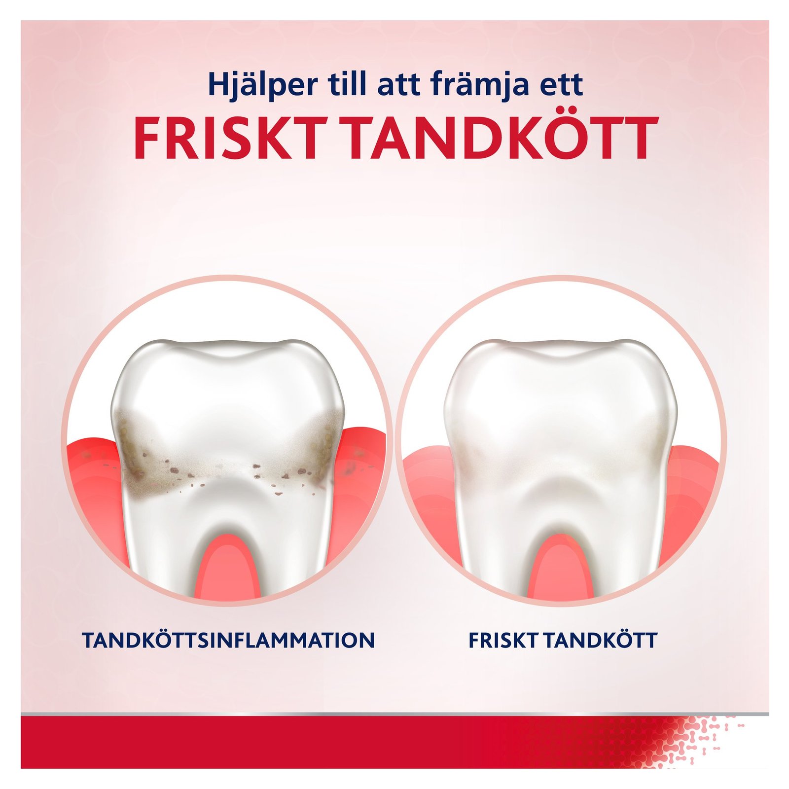 Paradontax Active Gum Munskölj 500 ml