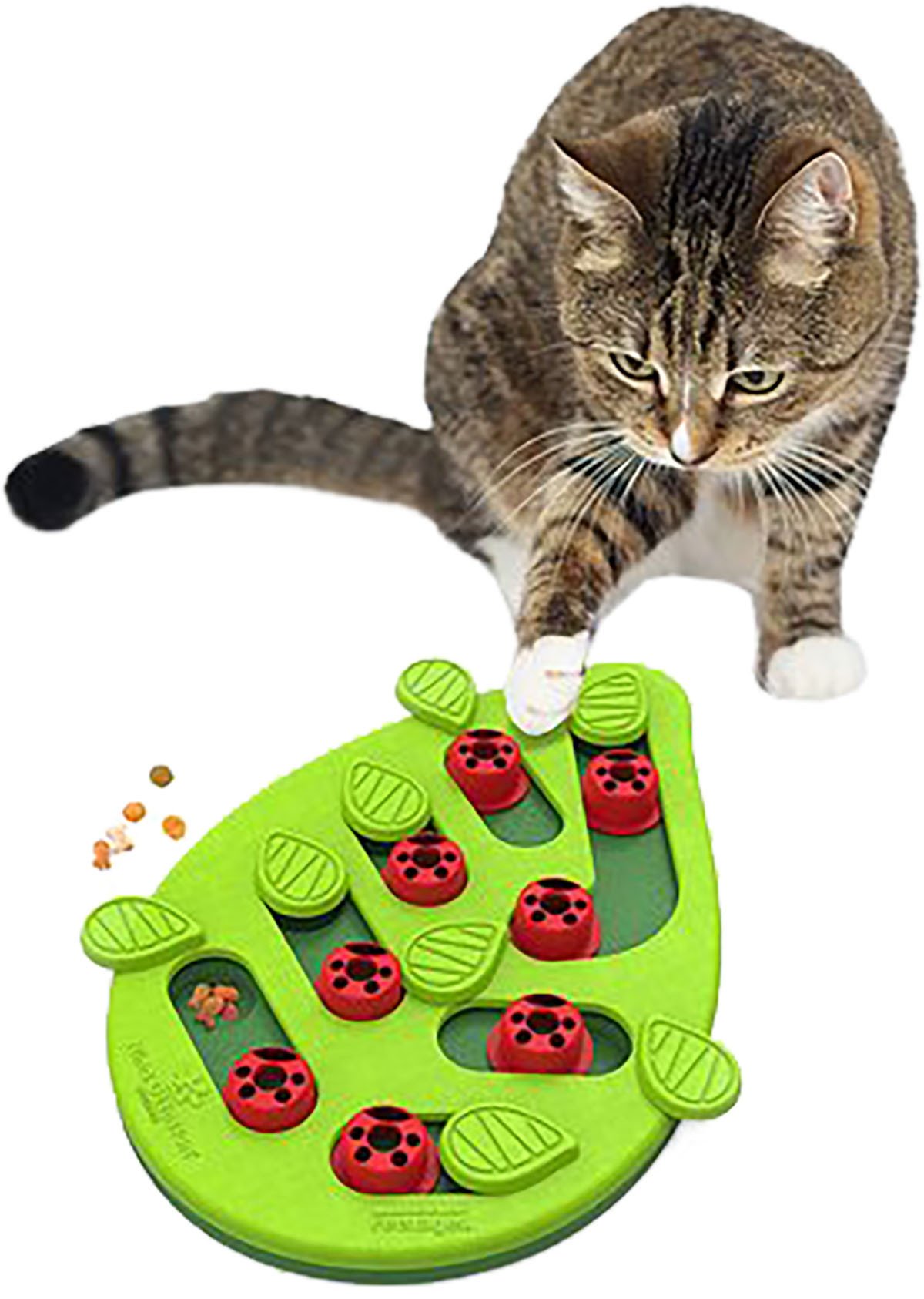 Nina Ottosson Cat Puzzle & Play Buggin Out