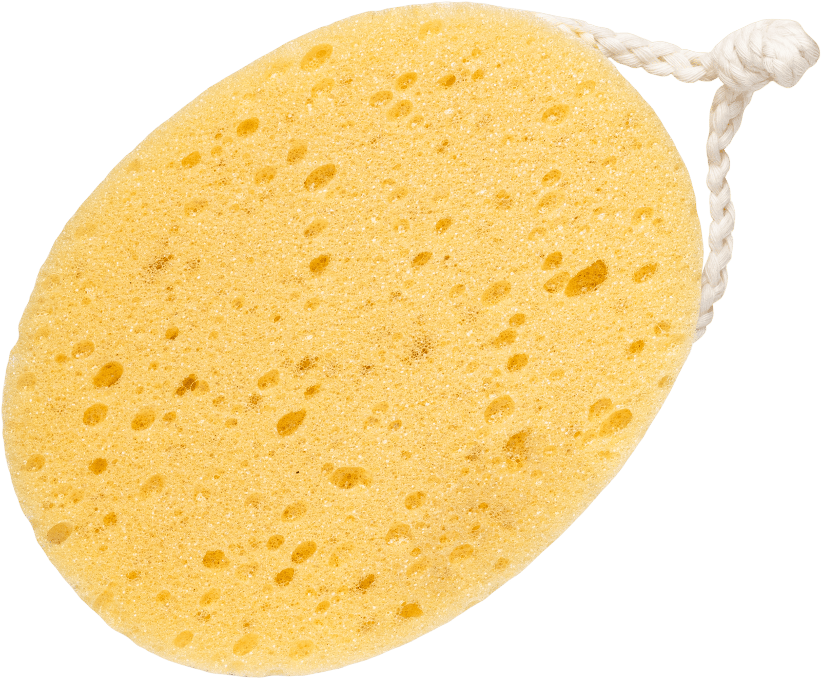 BODY LAB Foam Bath Sponge