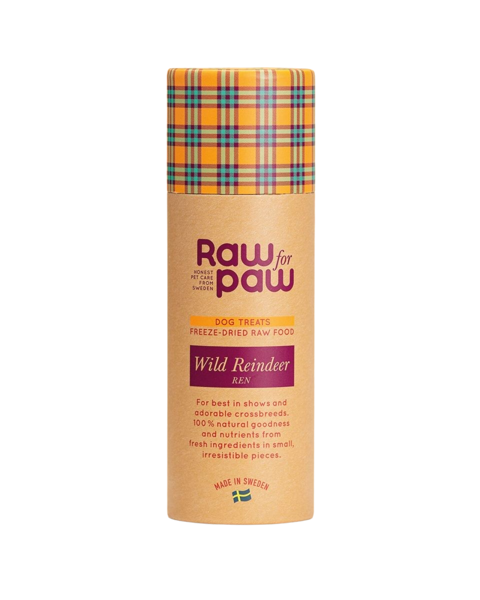 Raw for Paw Wild Reindeer 45g
