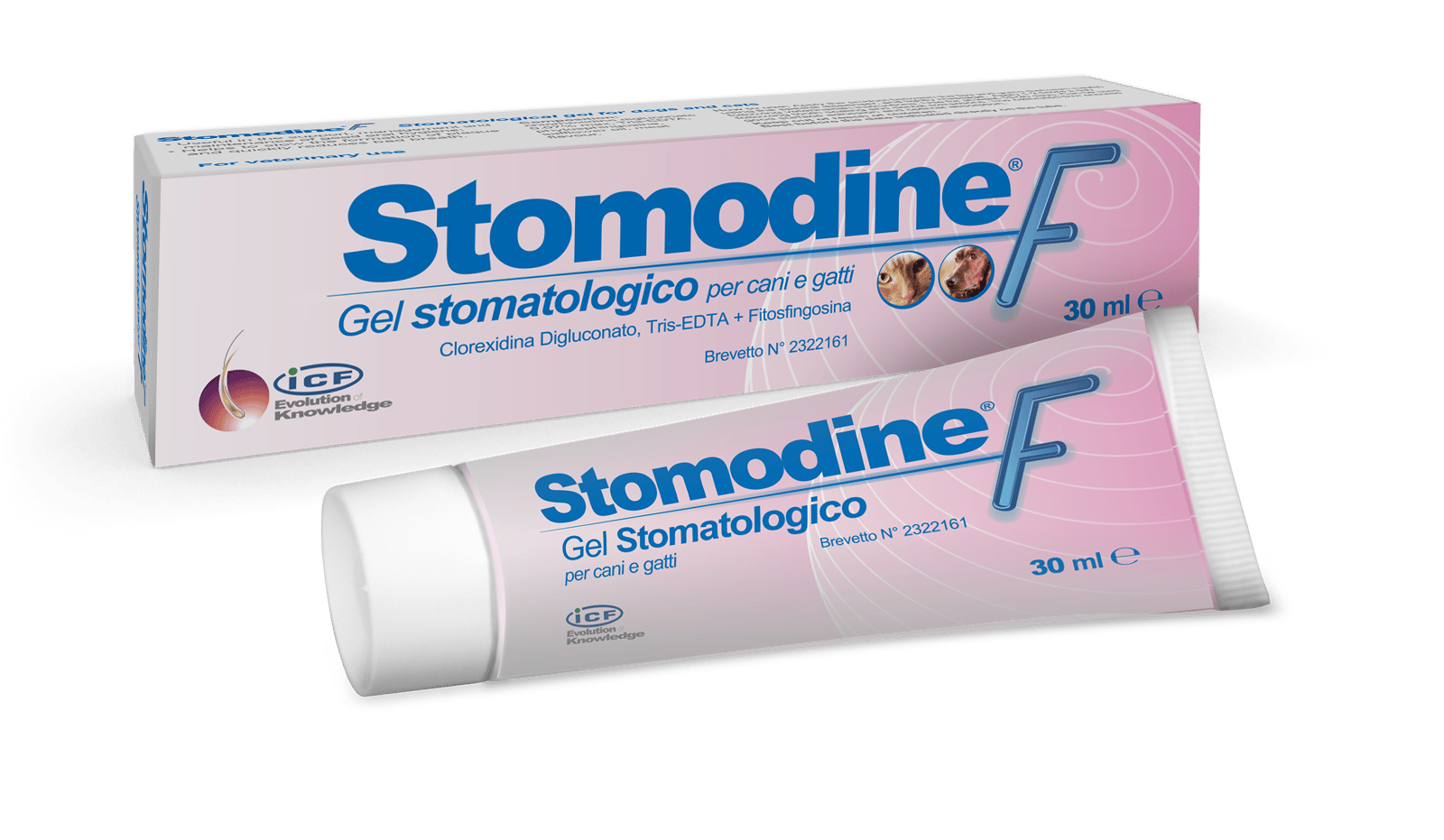 ICF Stomodine® F Oral Gel