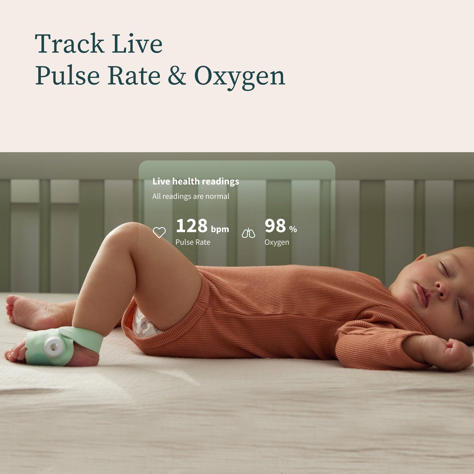 Owlet Dream Sock™ Mint + Owlet Cam 2