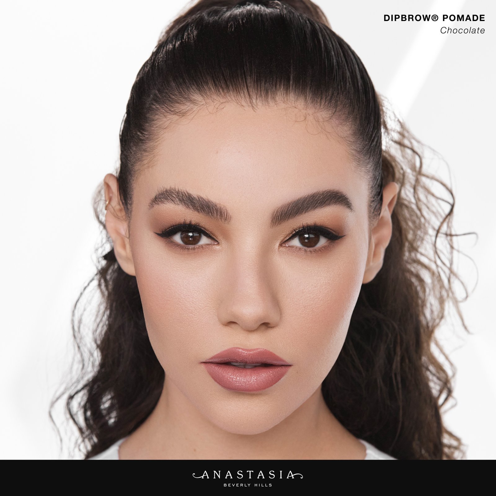 Anastasia Beverly Hills Dipbrow Pomade Ebony 1 st