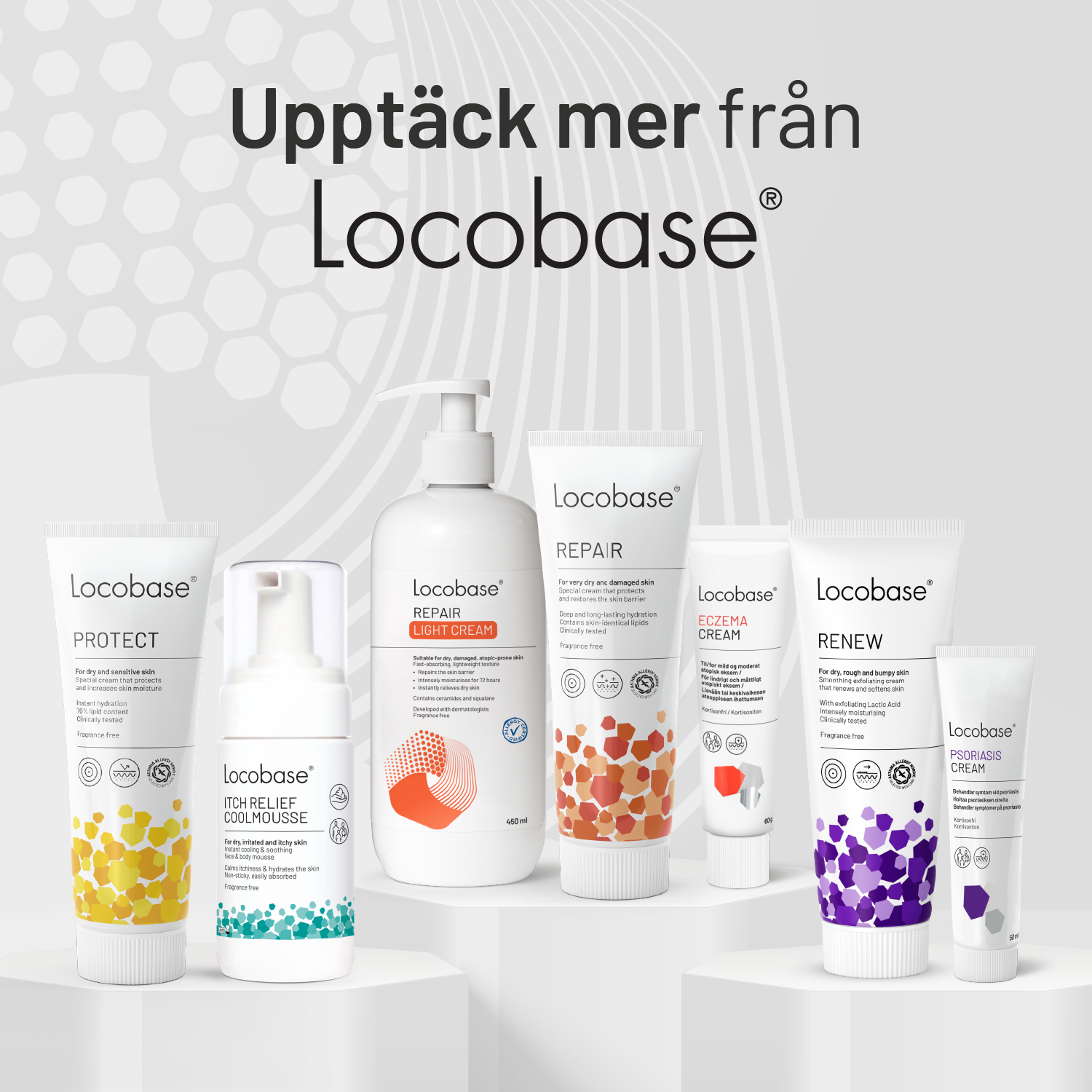 Locobase Repair 100 g