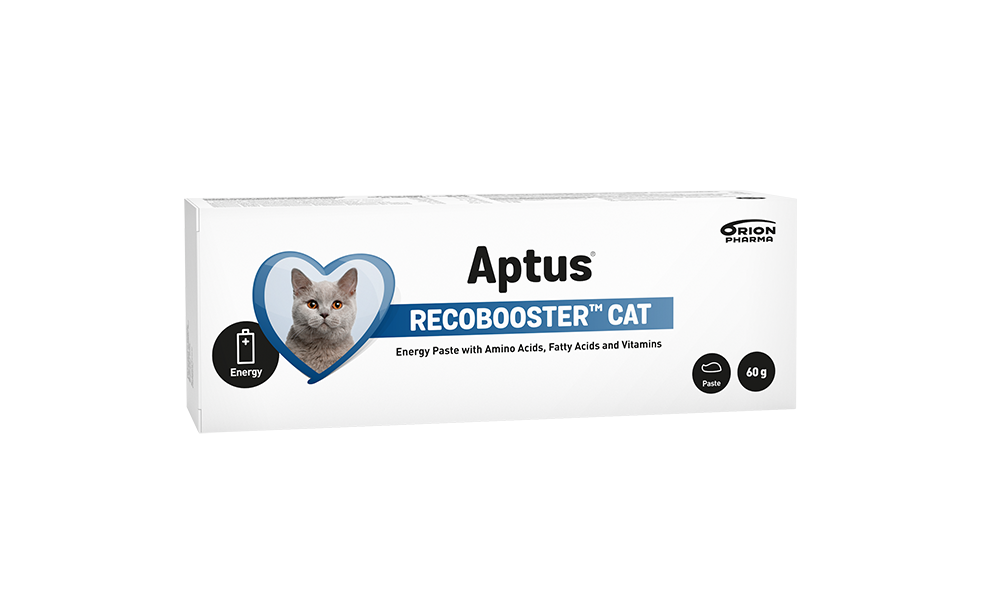 Aptus Recobooster Cat Pasta 60g