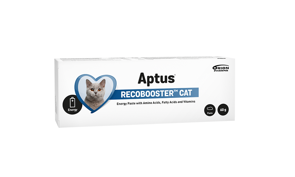 Aptus Recobooster Cat Pasta 60g