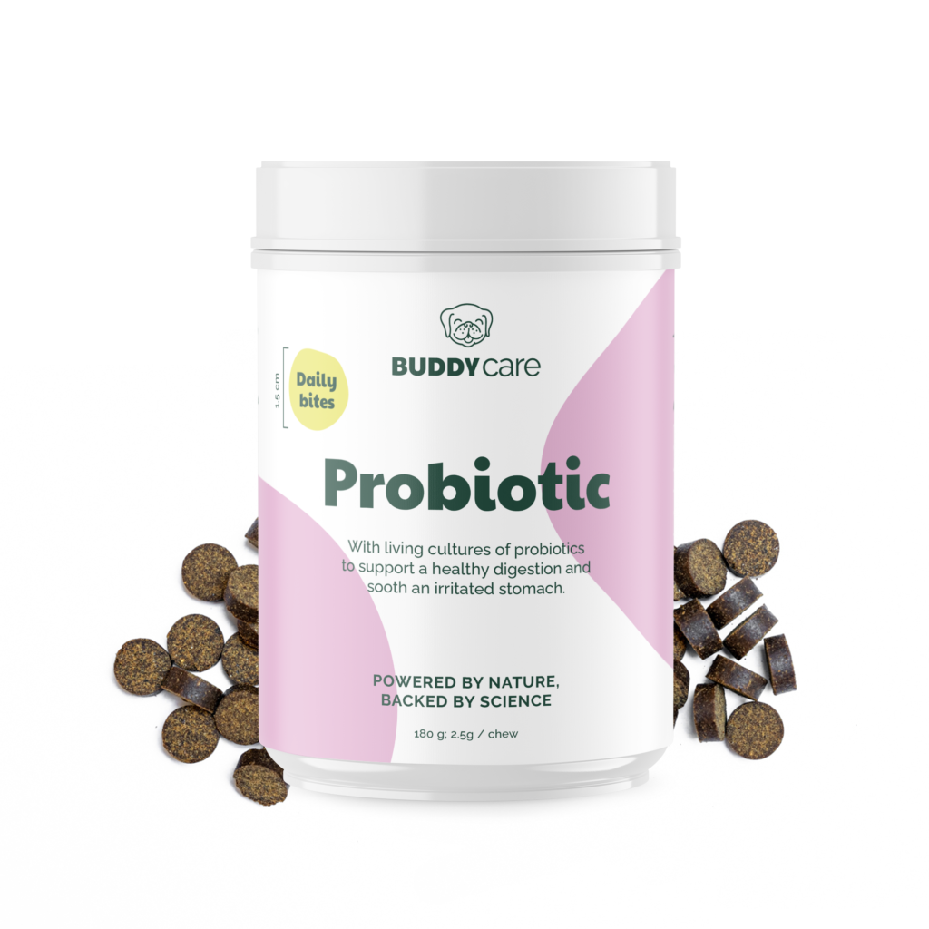 BUDDY Care Probiotic 180g