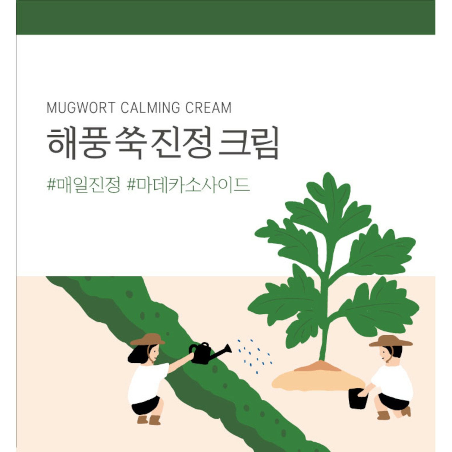 Round Lab Mugwort Calming Cream 80ml