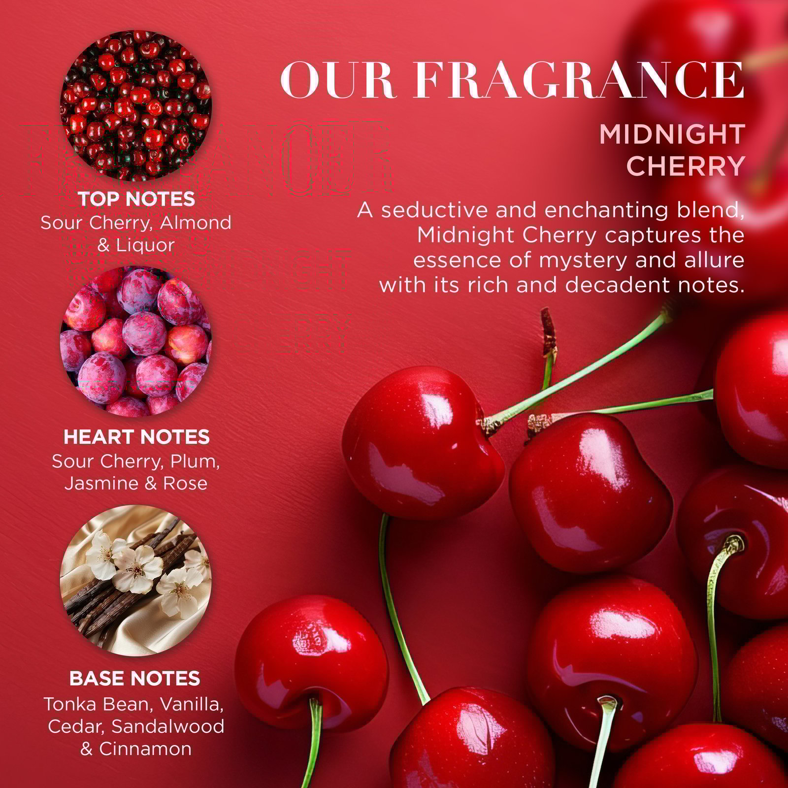 Baylis & Harding Midnight Cherry Travel Bag Gift Set 275 ml