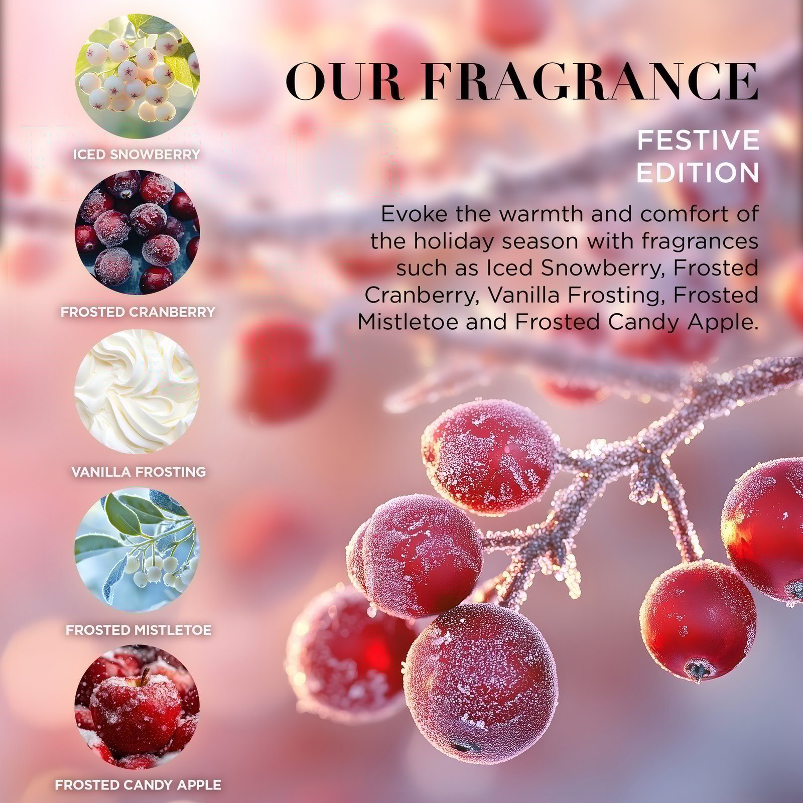 Baylis & Harding Festive Bath & Shower Gift Set 500 ml