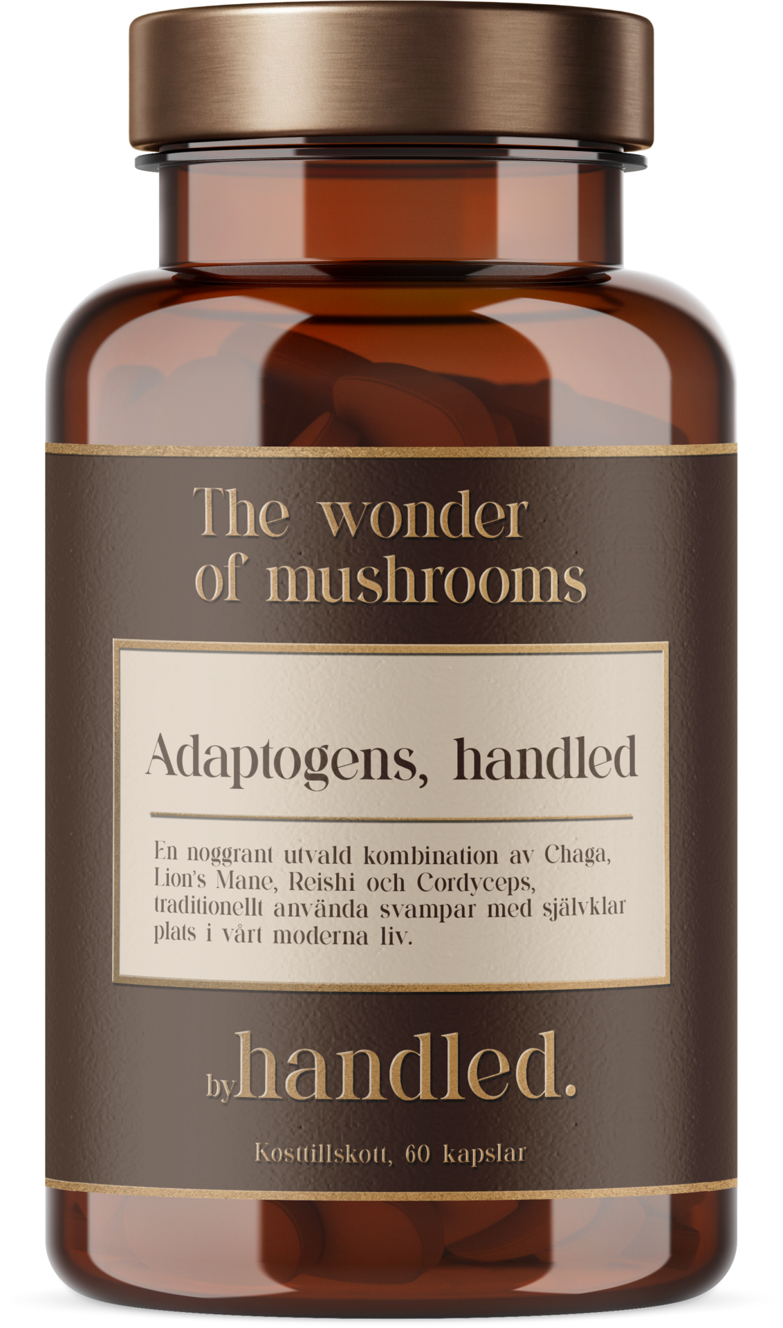 By Handled The Wonder Of Mushrooms 60 st