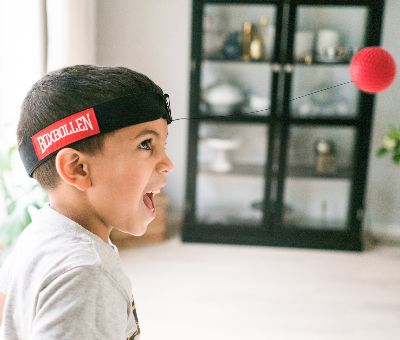 Boxbollen Original 1 set