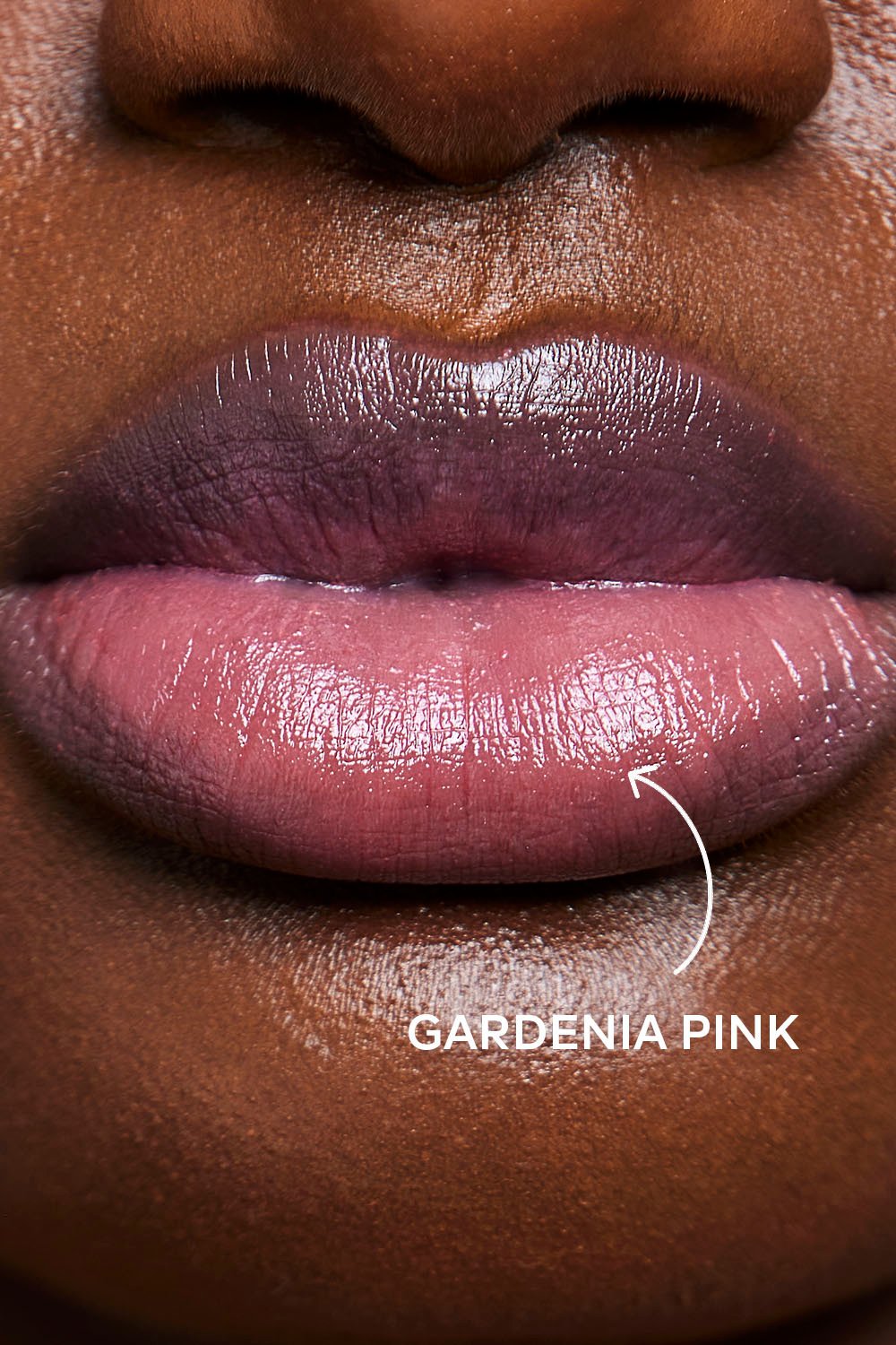 Dashl Lip Fusion Serum Gardenia Pink 1 ,8 g