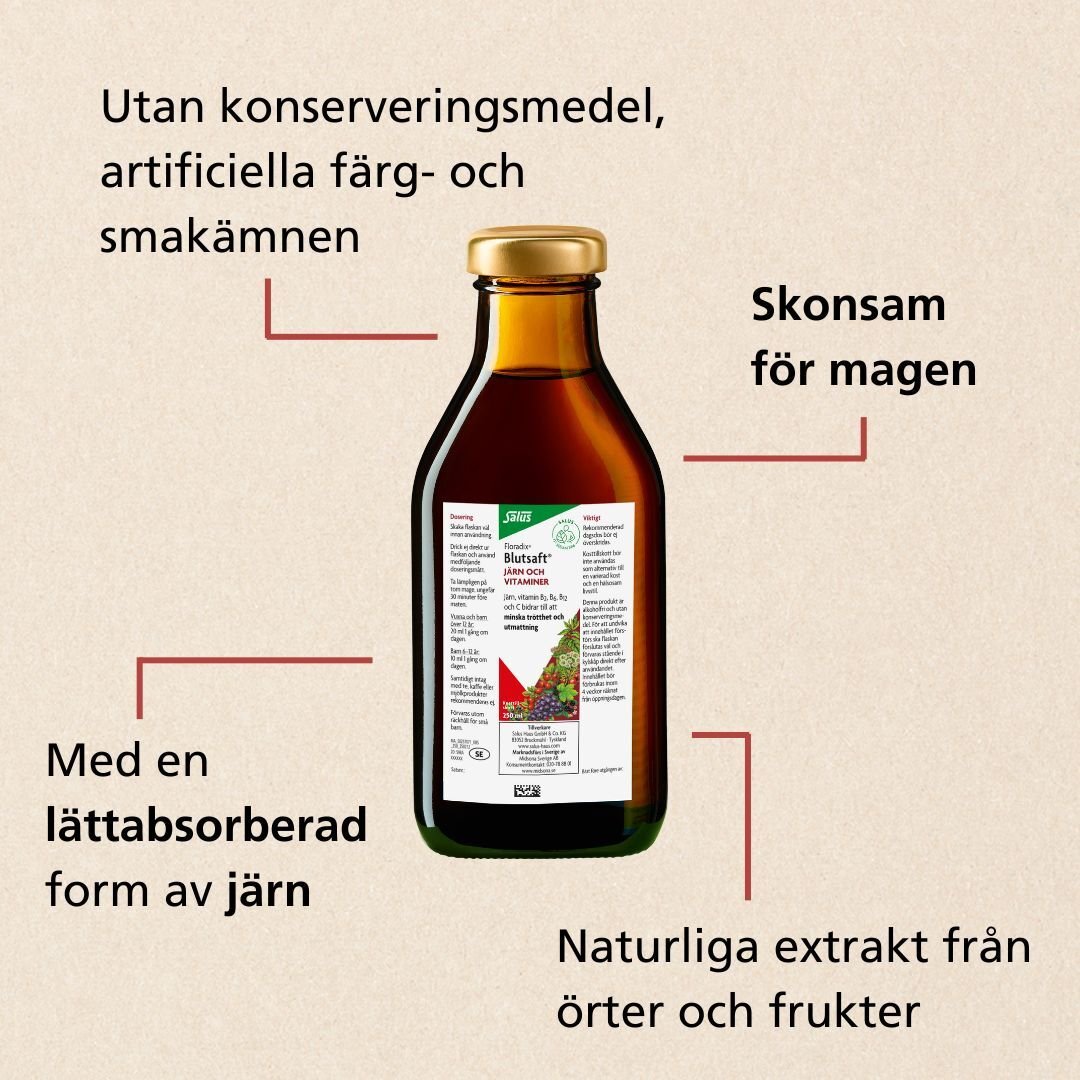 Floradix Blutsaft 250ml