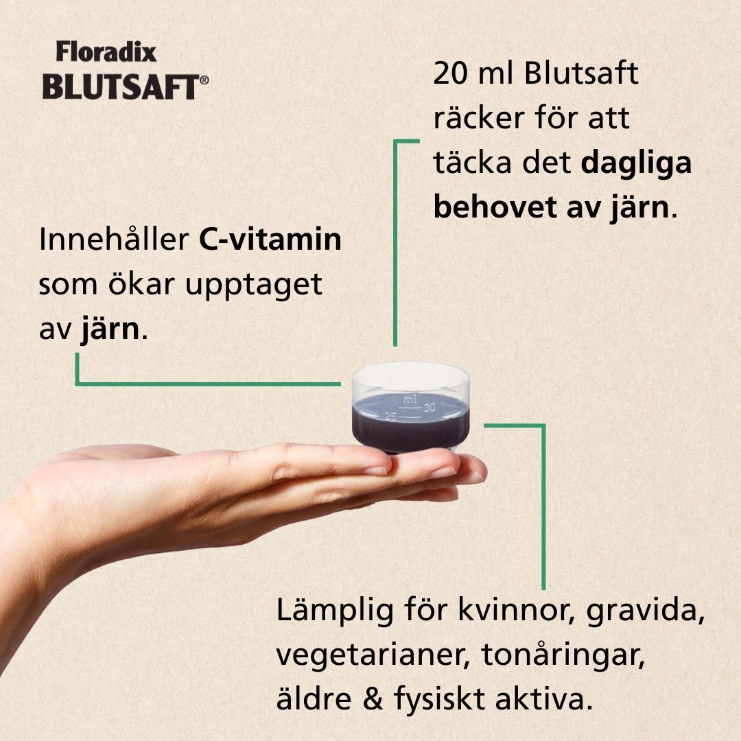 Floradix Blutsaft 500ml