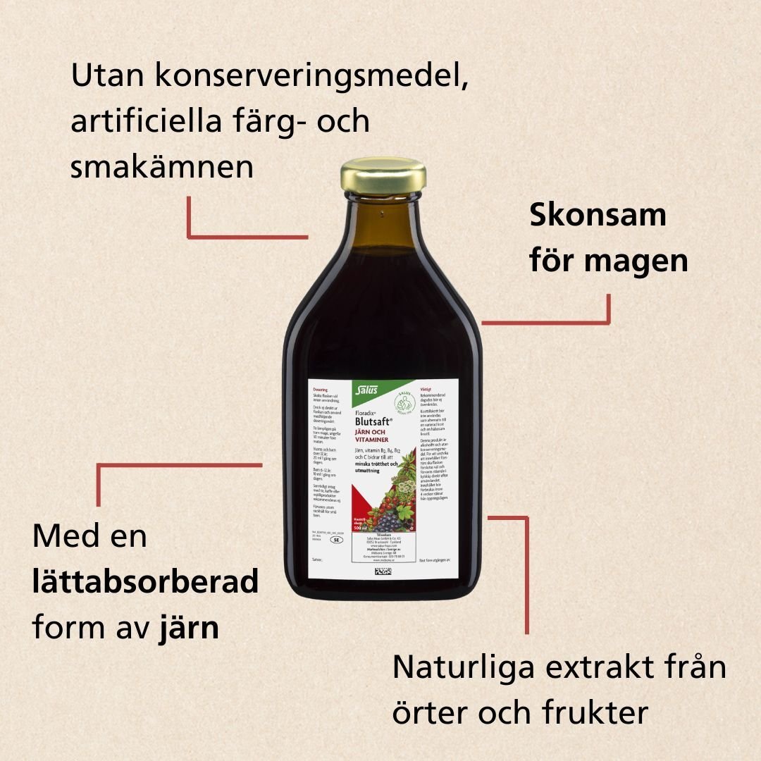 Floradix Blutsaft 500ml