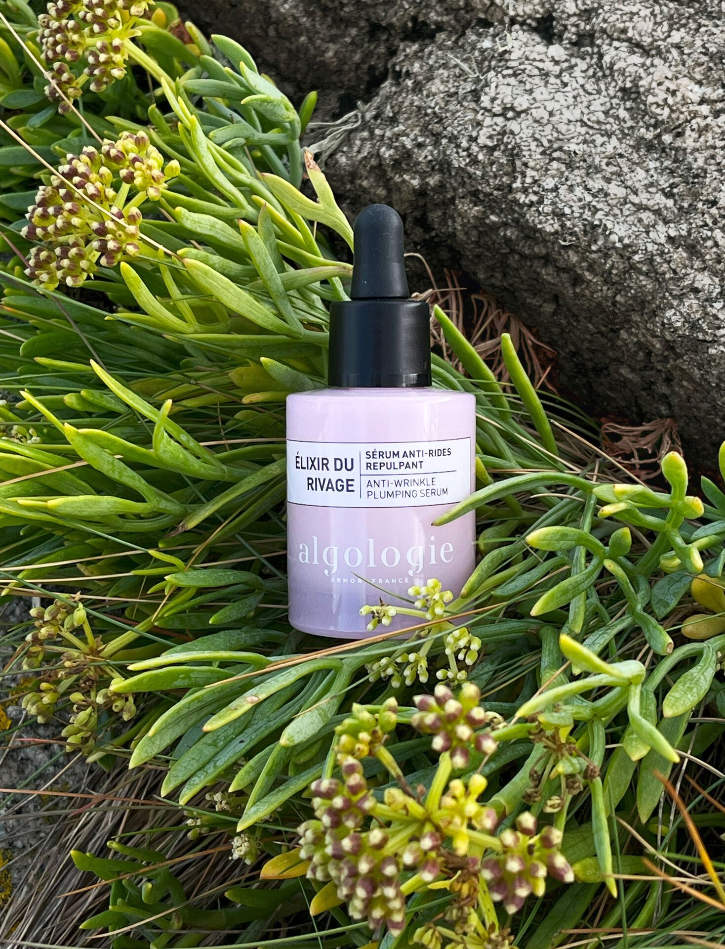 Algologie Anti-age Correction Anti-wrinkle Plumping Serum 30 ml