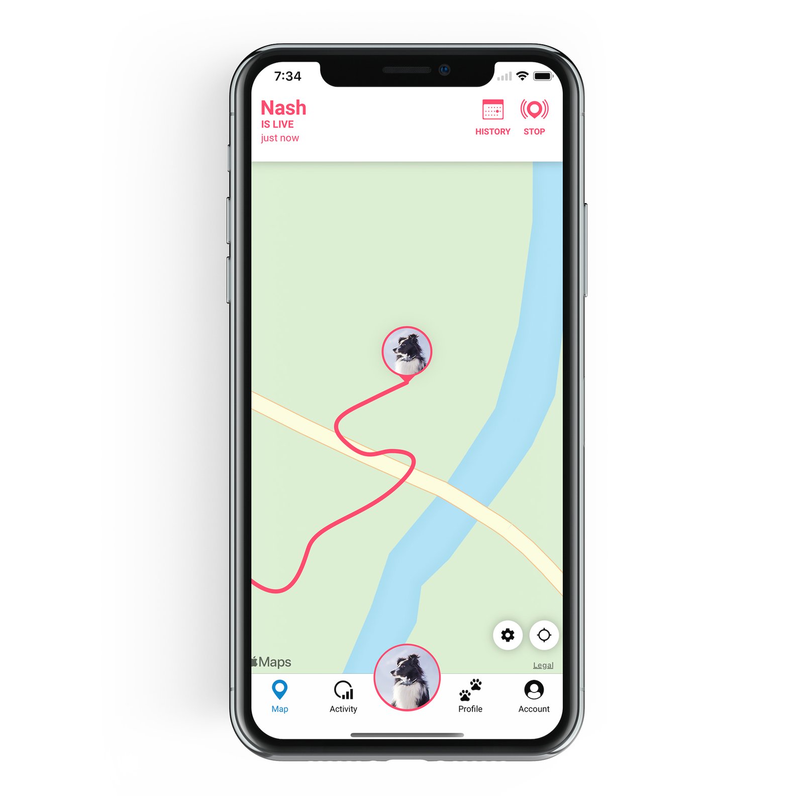 Tractive Dog GPS Tracker LTE 1 st