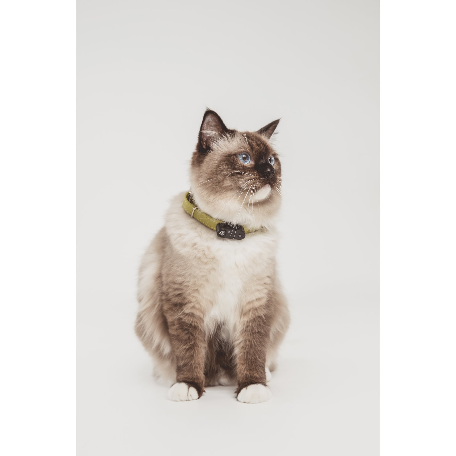 TICKLESS Pet Tick Repellent Mini Cat Black 1 st