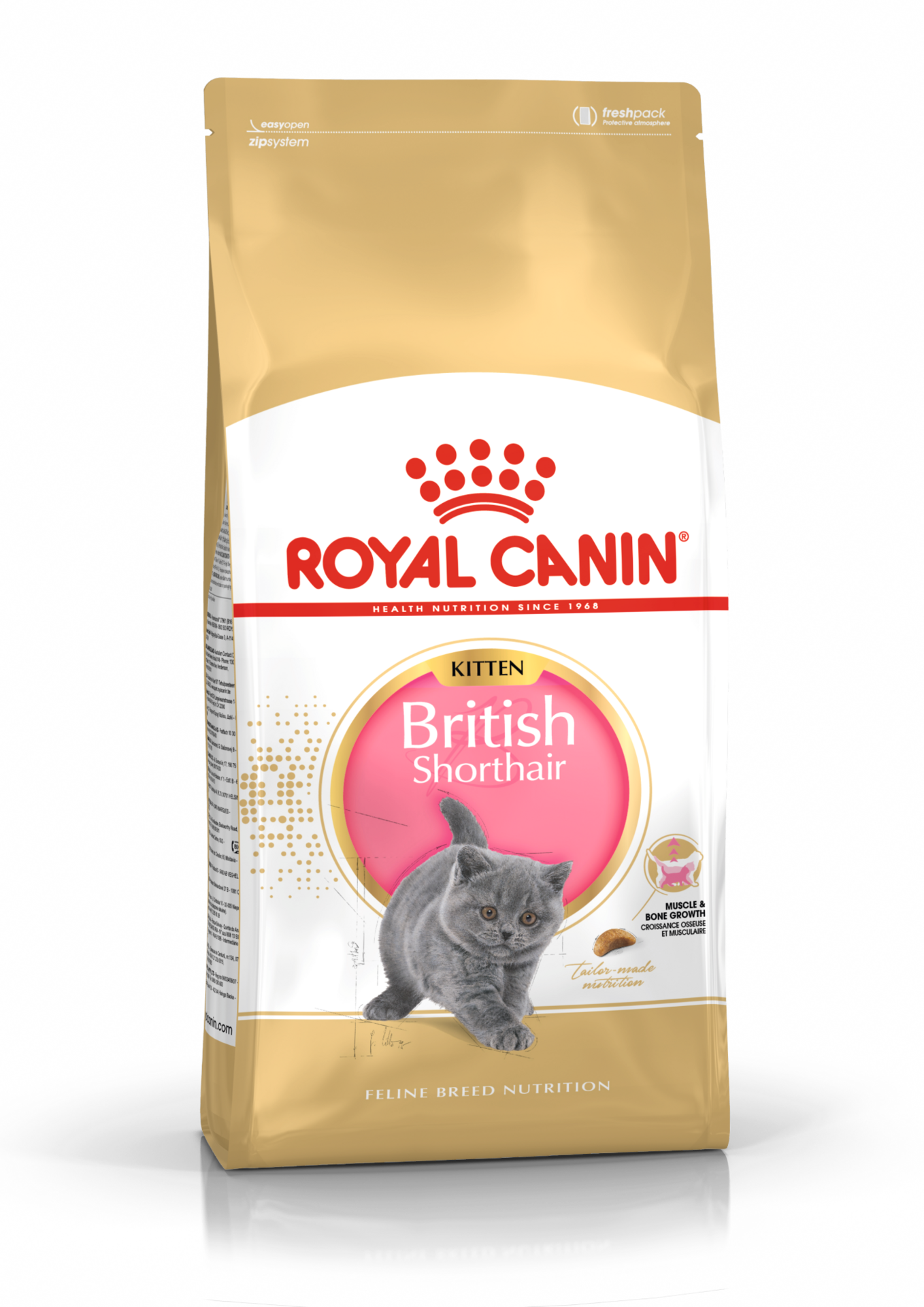 Royal Canin British Shorthair Kitten torrfoder för kattunge 2 kg