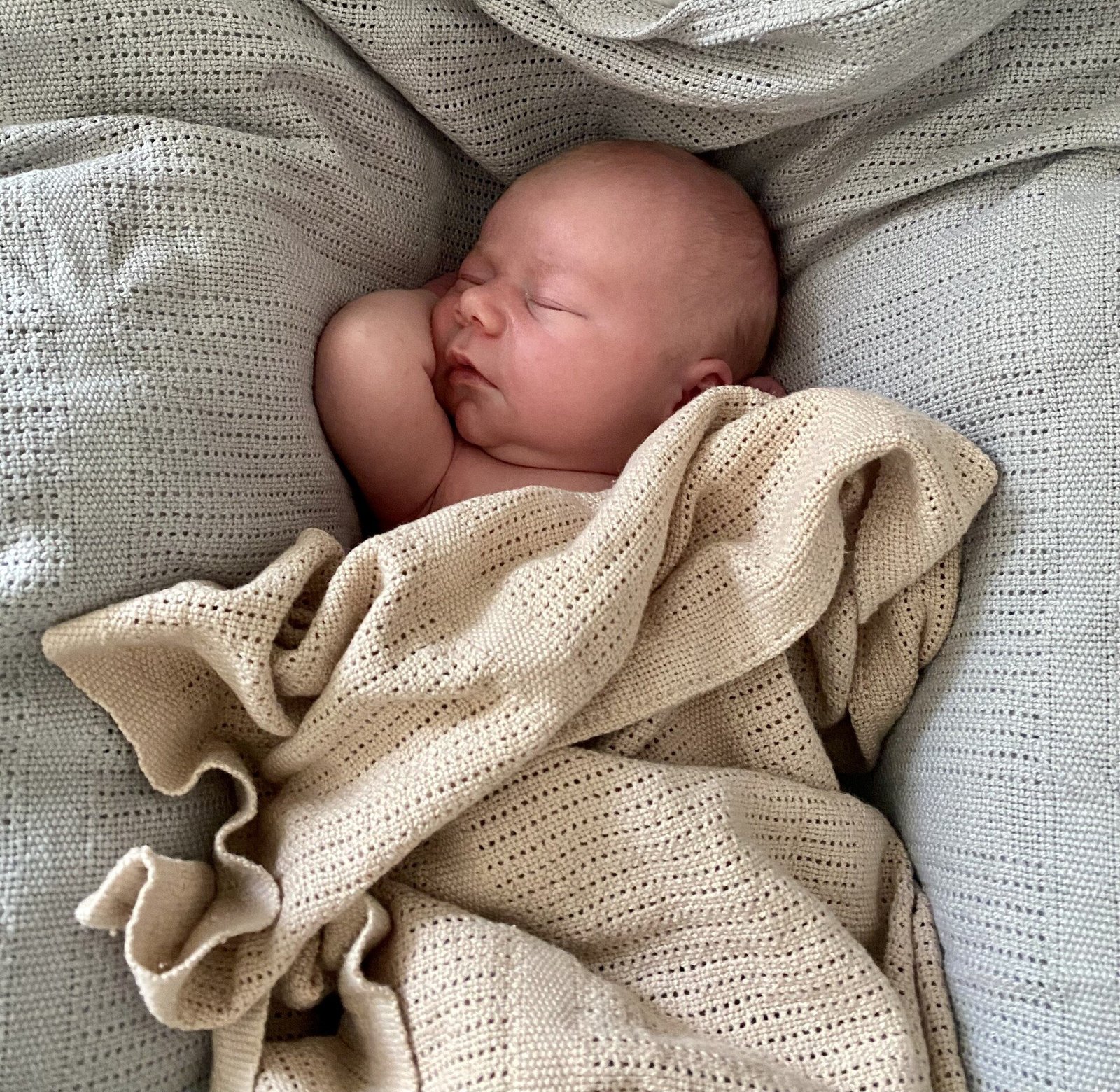 Fresh Kid Gallerfilt vit