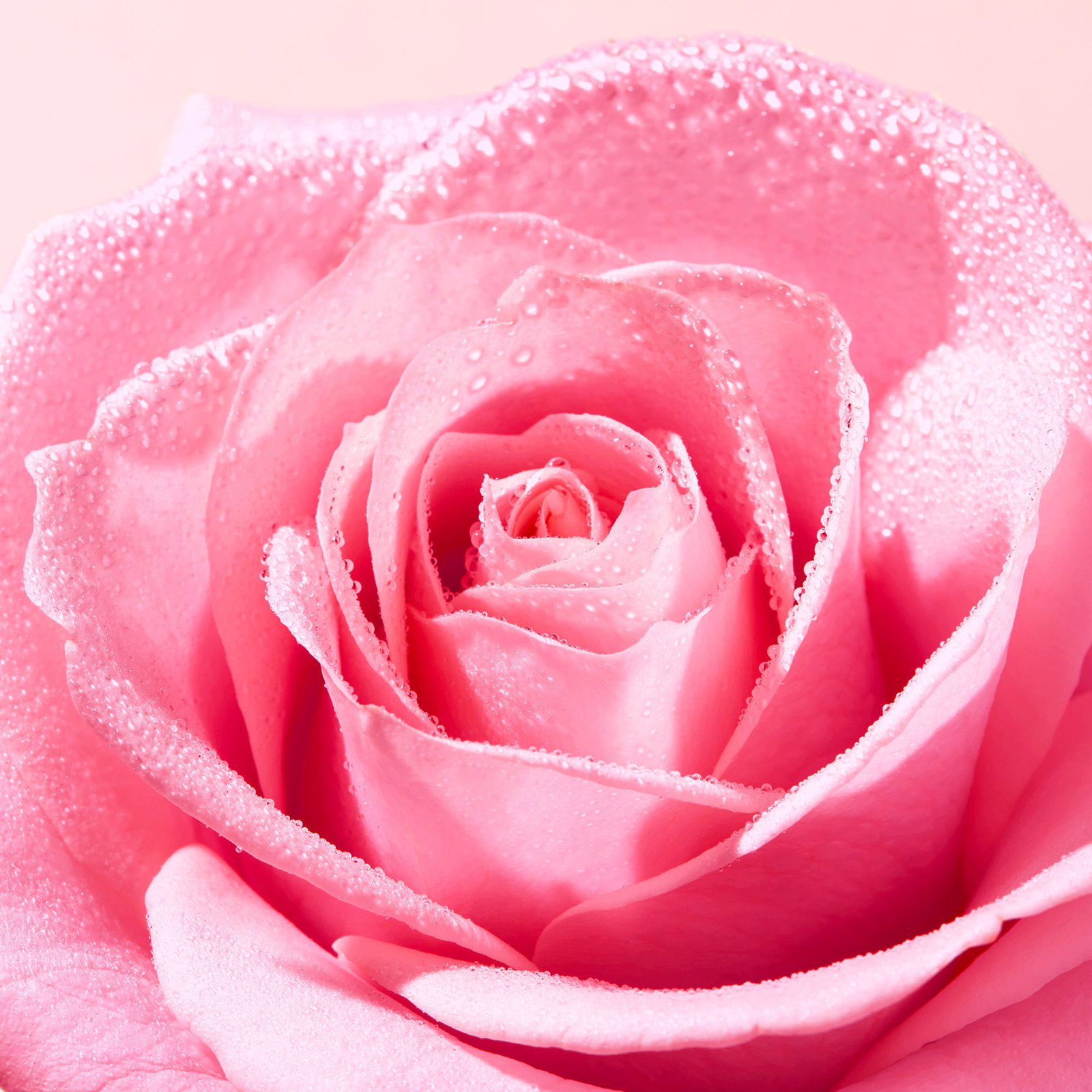 NUXE Very Rose Gentle Face Scrub 75 ml