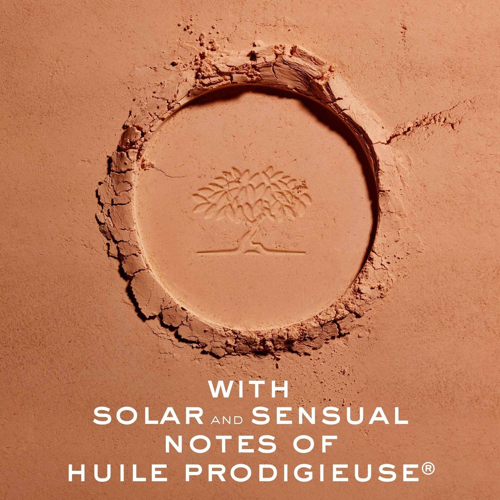 Nuxe Prodigieux La Poudre Eclat Bronzing 10 g
