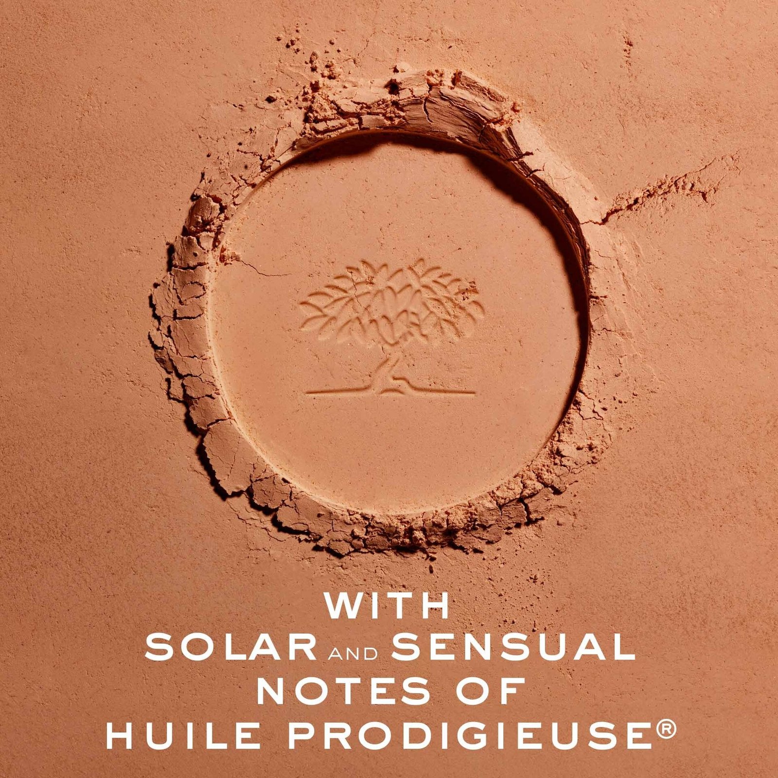 Nuxe Prodigieux La Poudre Eclat Bronzing 10 g