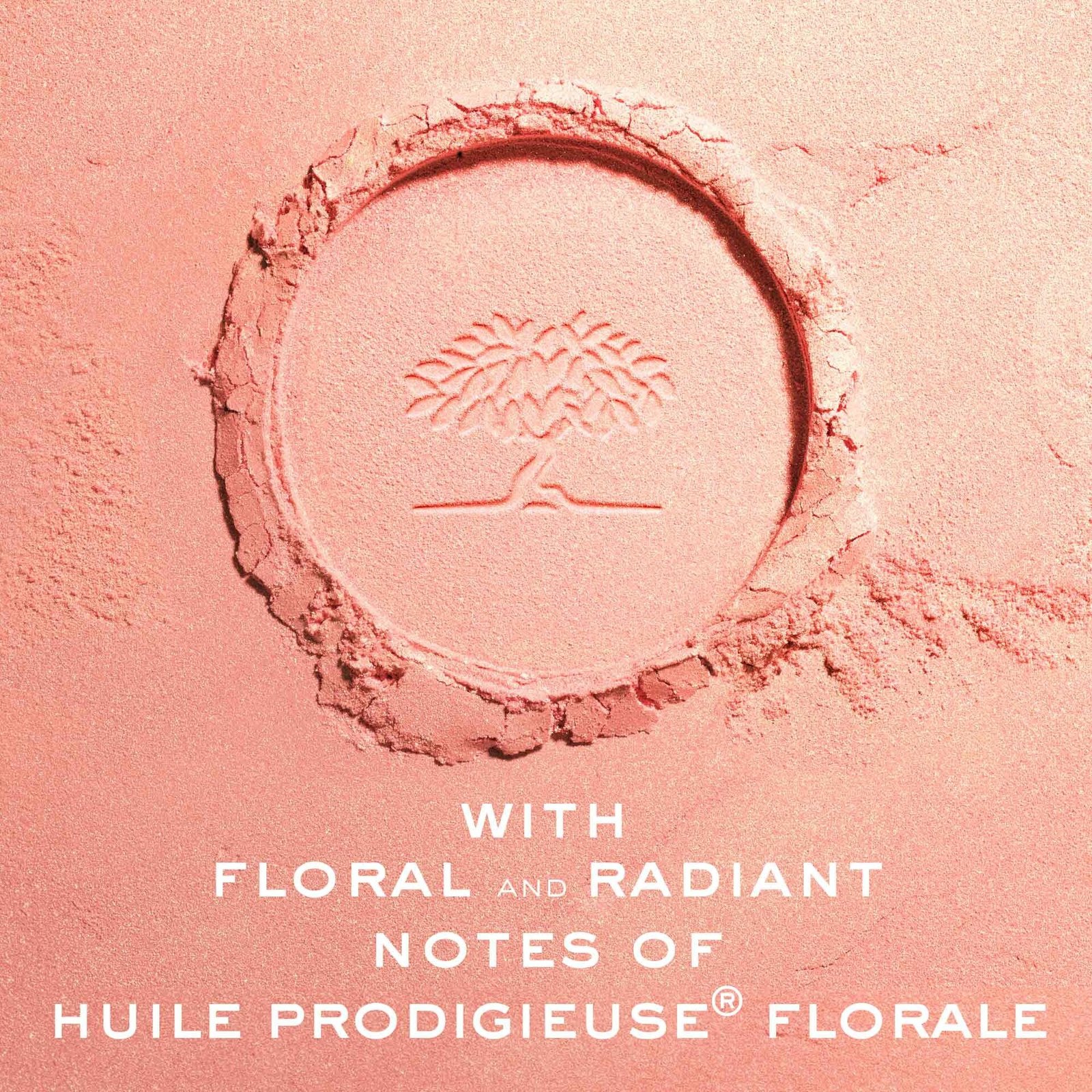 Nuxe Prodigieux La Poudre Eclat Illuminating 10 g