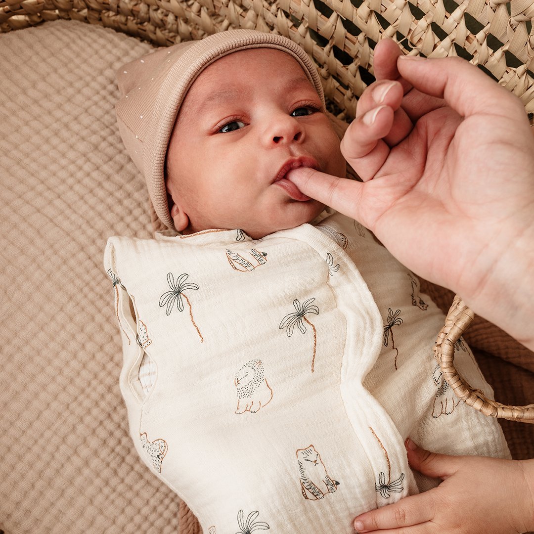 Candide Sovpåse/Swaddler Savann 0-3 mån