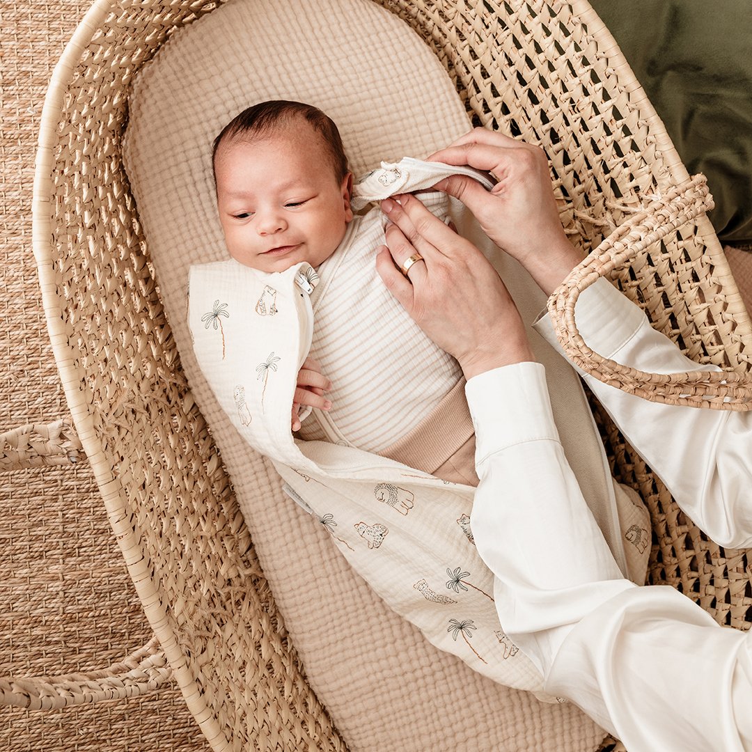 Candide Sovpåse/Swaddler Savann 0-3 mån