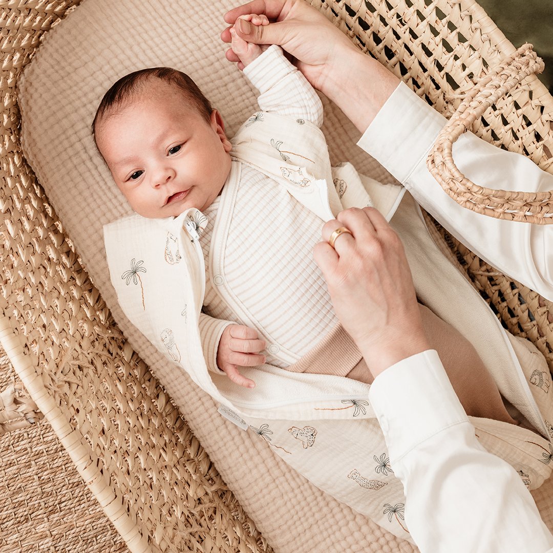 Candide Sovpåse/Swaddler Savann 0-3 mån