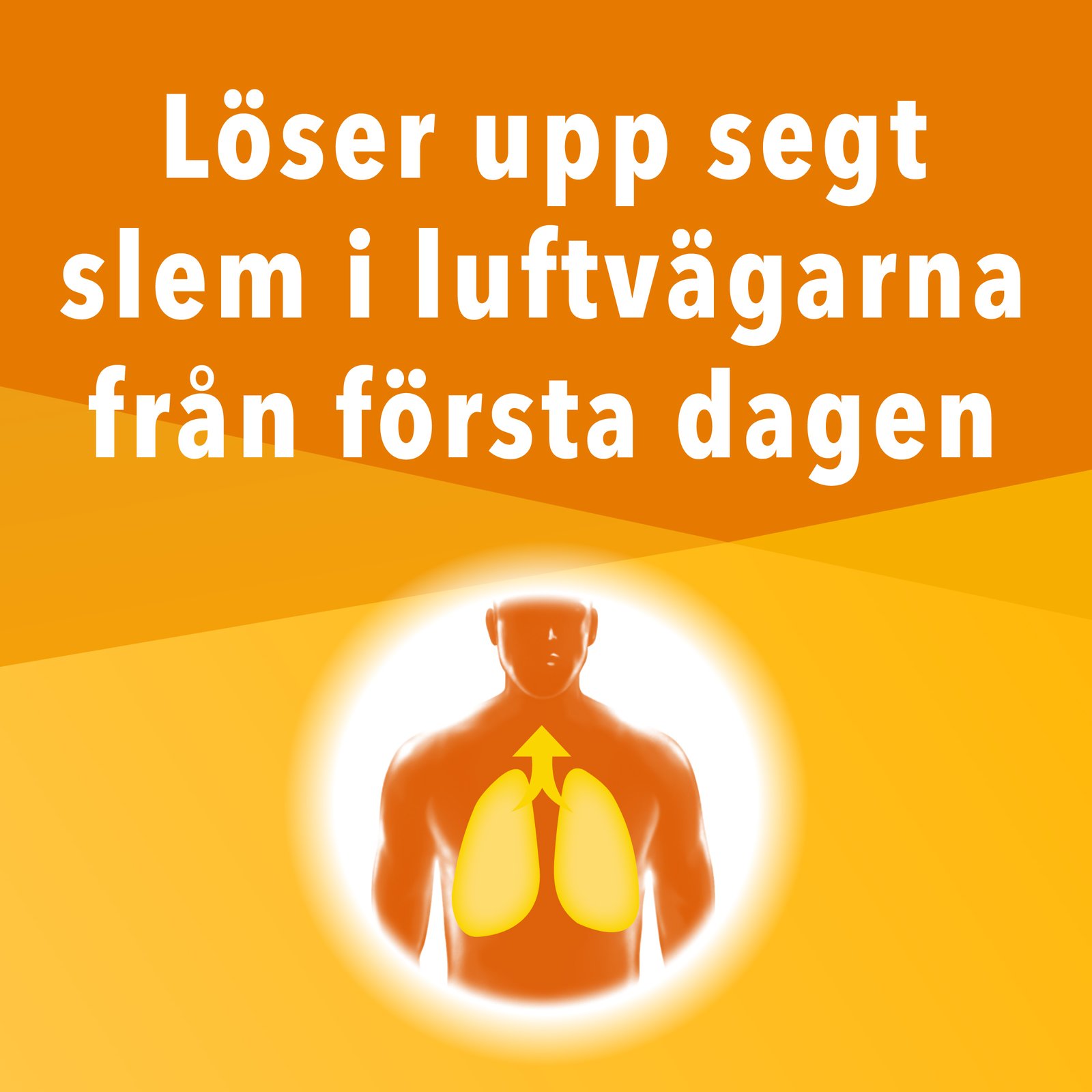 Nipenesin Sirap 20 mg/ml, 300 ml