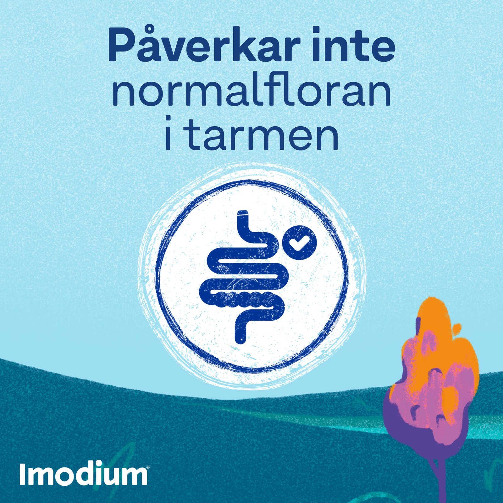 Imodium tabletter 2mg, 16 st