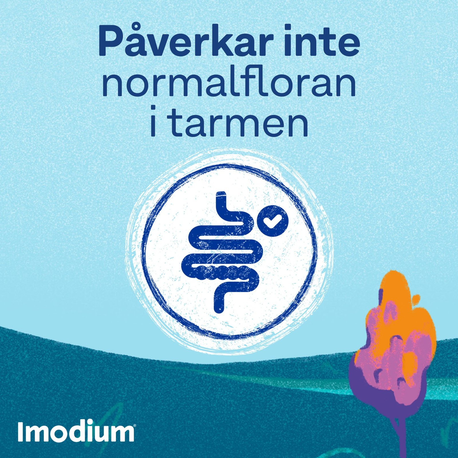 Imodium tabletter 2mg, 16 st