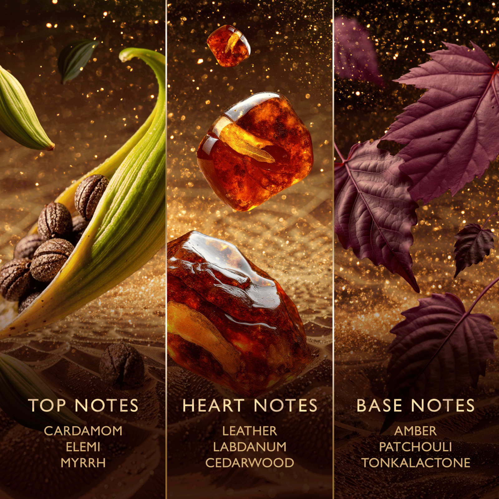 Jawhara Amberwood Nomad EdP 100 ml