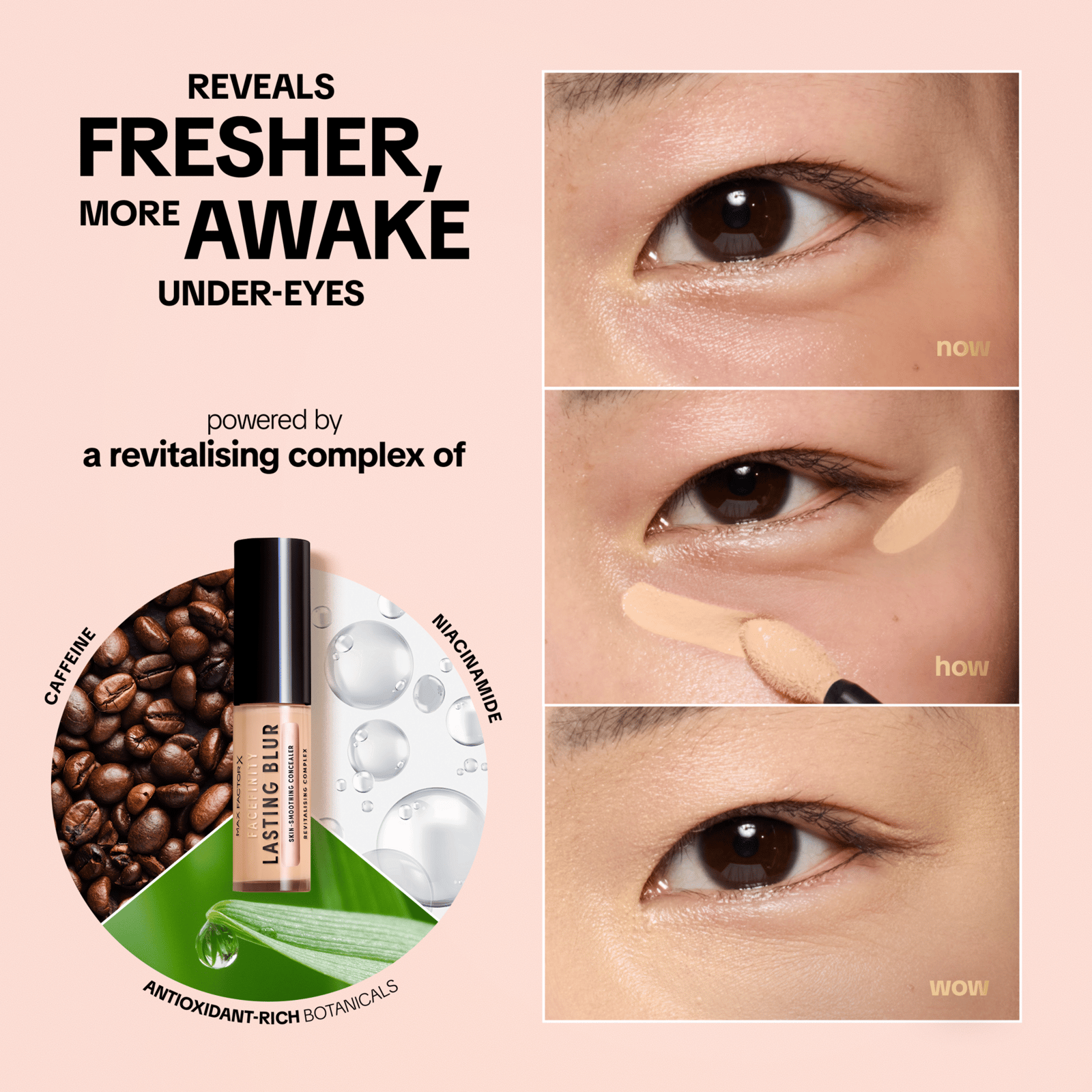 Facefinity Lasting Blur Concealer 8N Bronze 7.5 ml