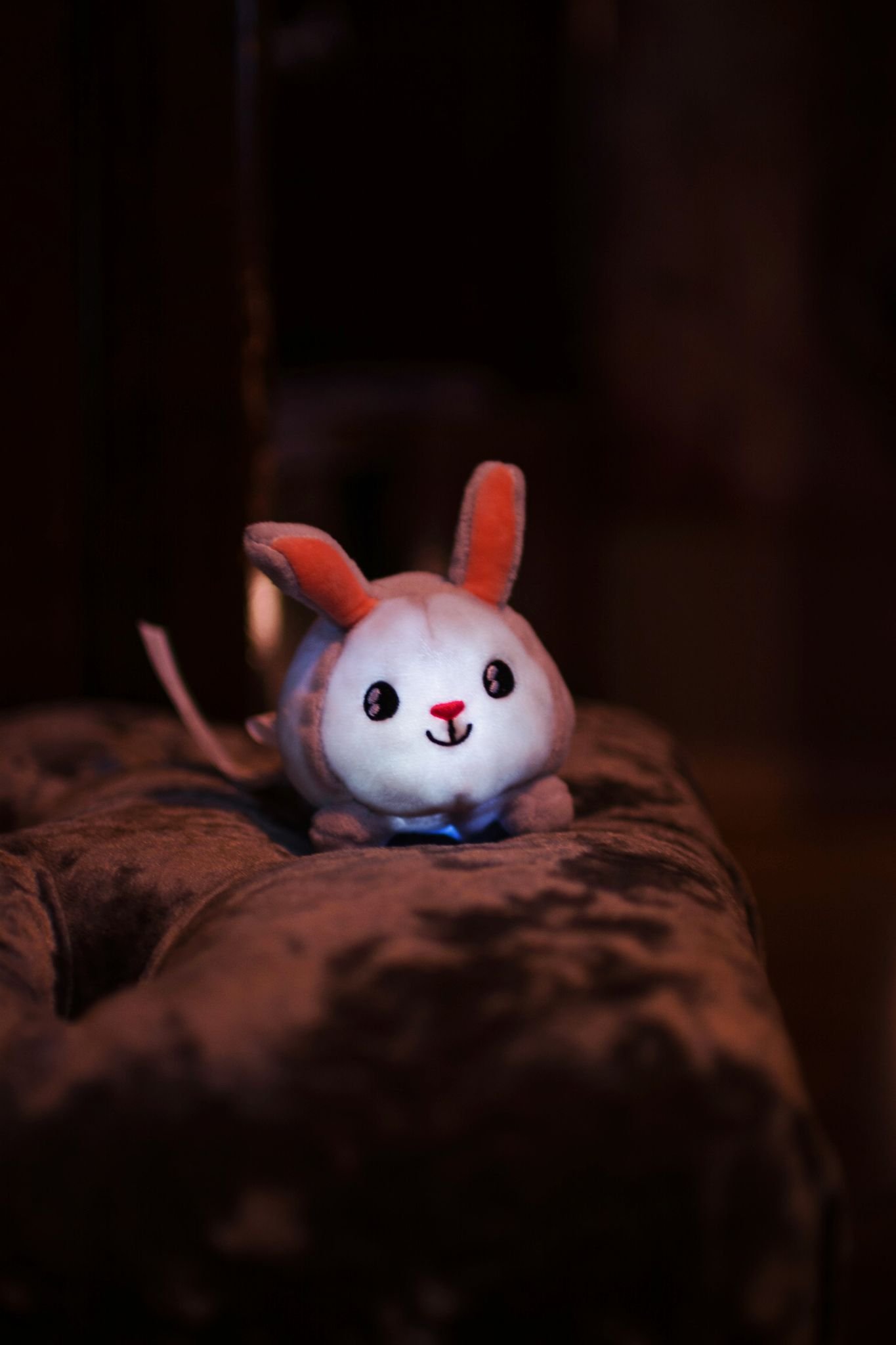 Pabobo Nattlampa Skakis Kanin