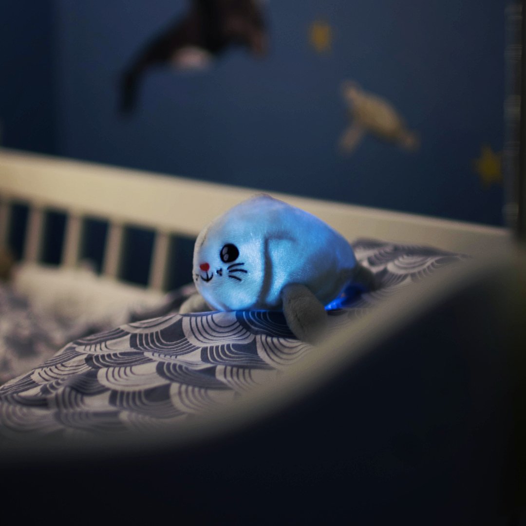 Pabobo Nattlampa Skakis Säl