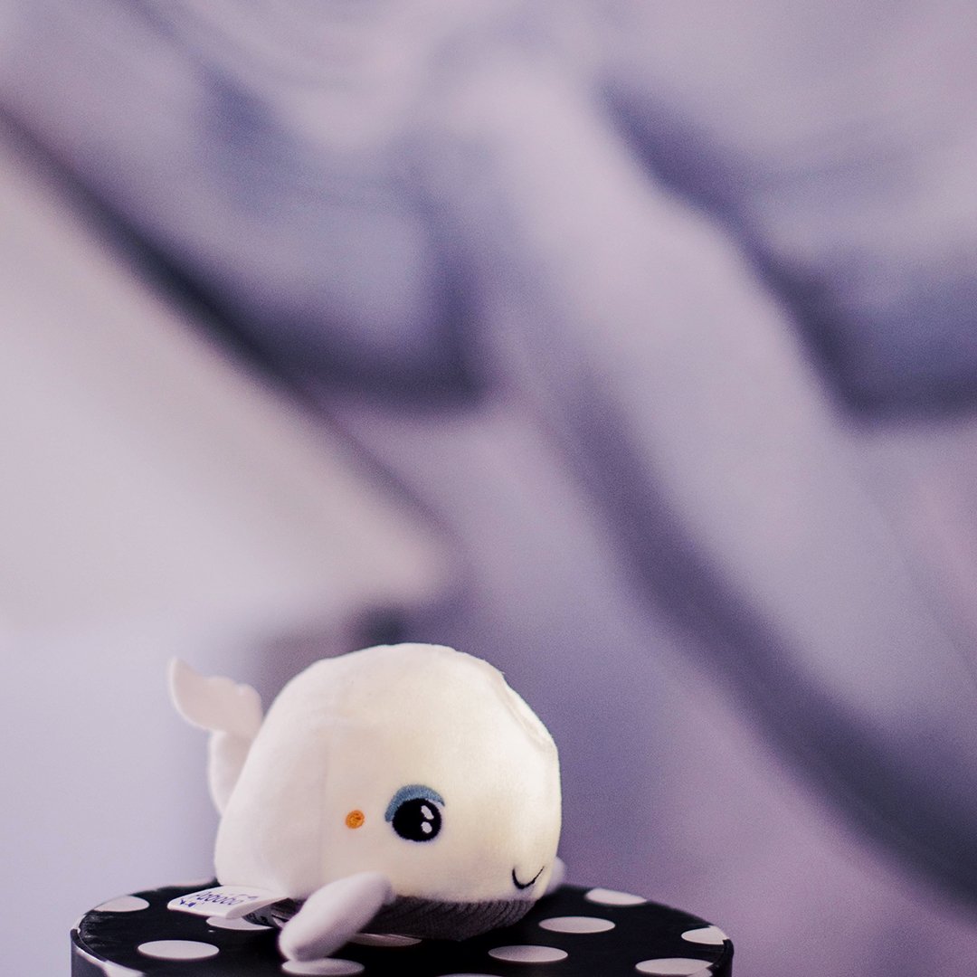 Pabobo Nattlampa Skakis Val