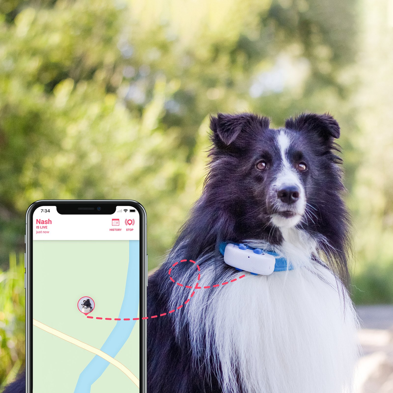Tractive Dog GPS Tracker LTE 1 st